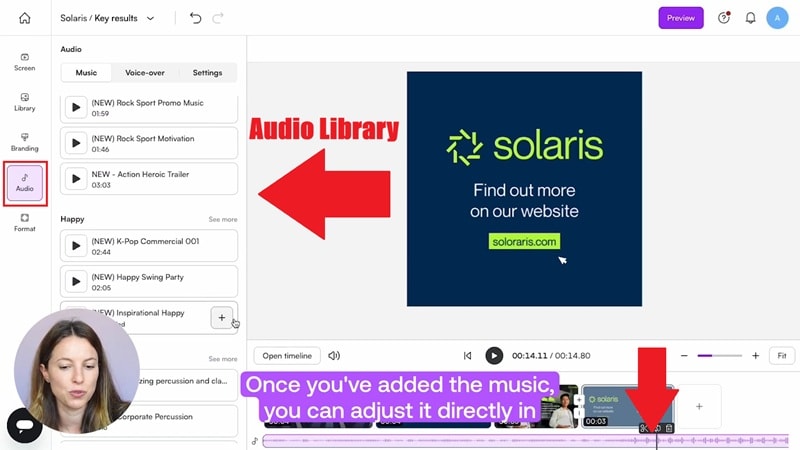 playplay music library