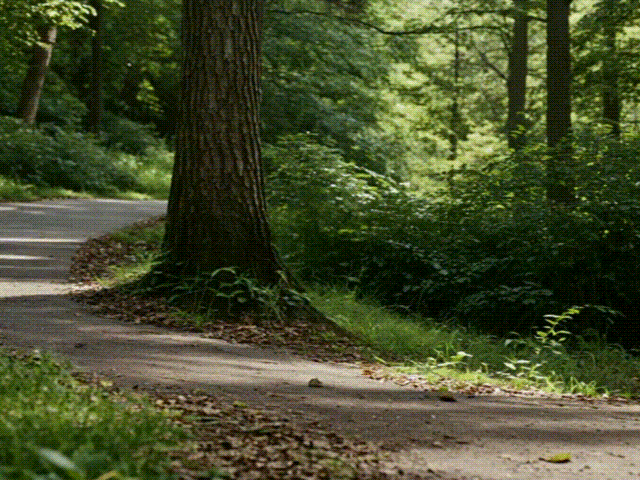 rita ai video results