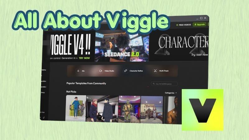 all about viggle