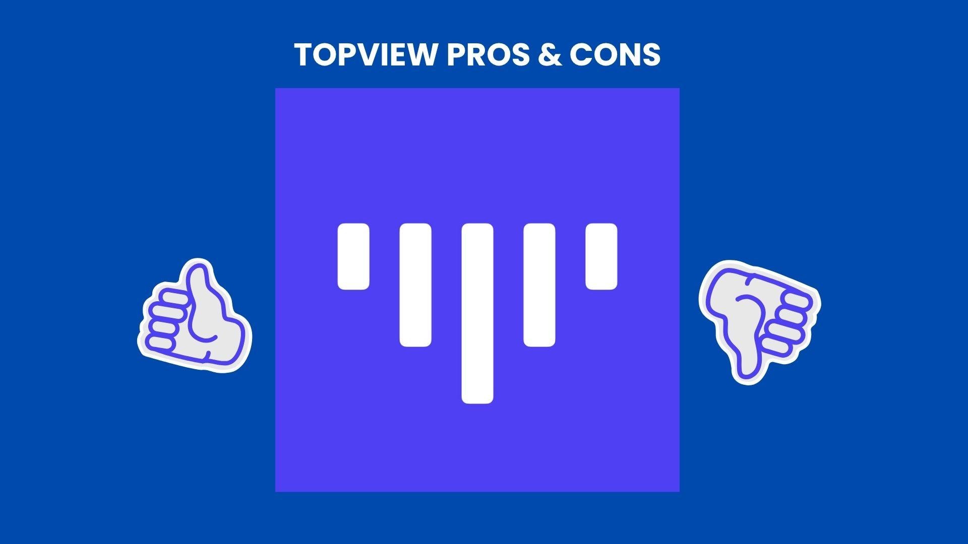 topview ai pros and cons