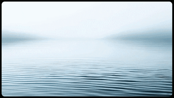 vidu ai image to video feature