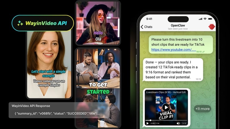 api access for wayinvideo ai