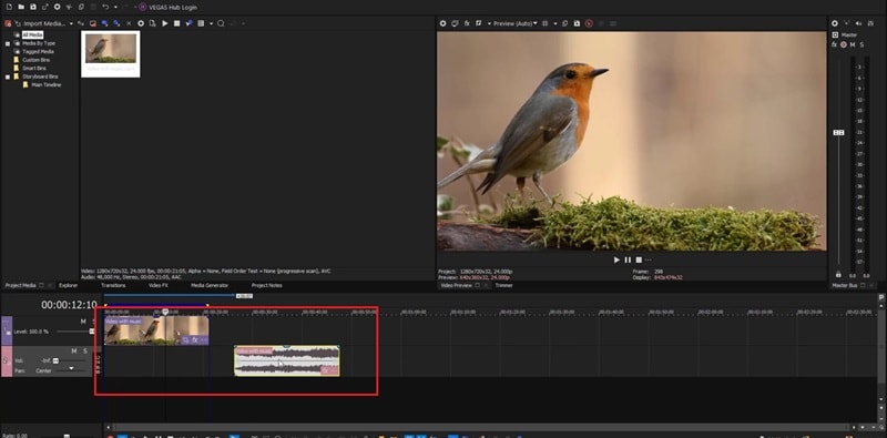 edit the audio separately