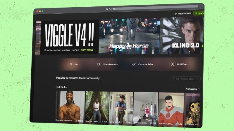 viggle ai dashboard