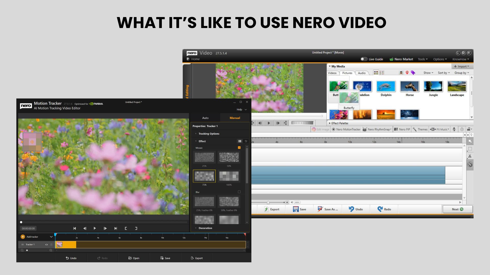 nero video user experience
