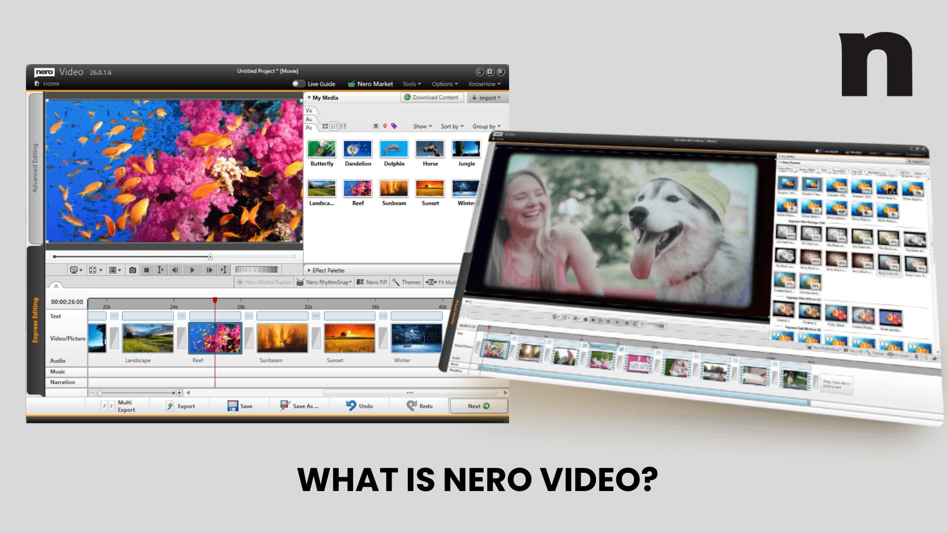 what is nero video