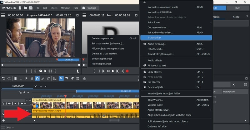 magix video pro audio options