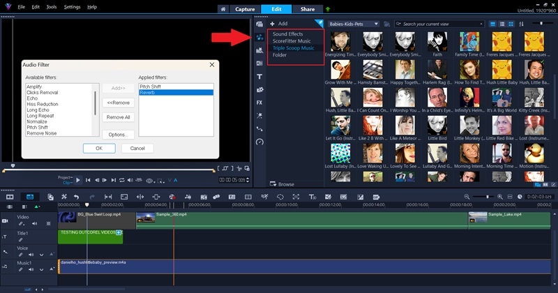 corel videostudio audio settings