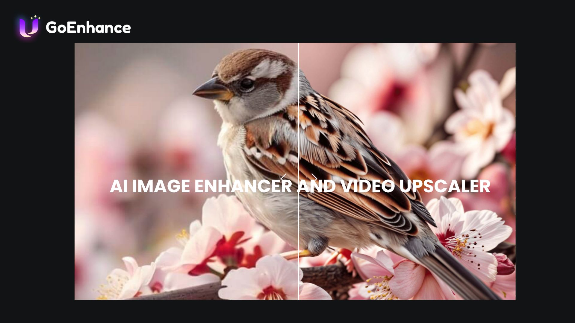 goenhance ai enhancer tool