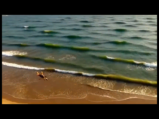lensgo ai video generator