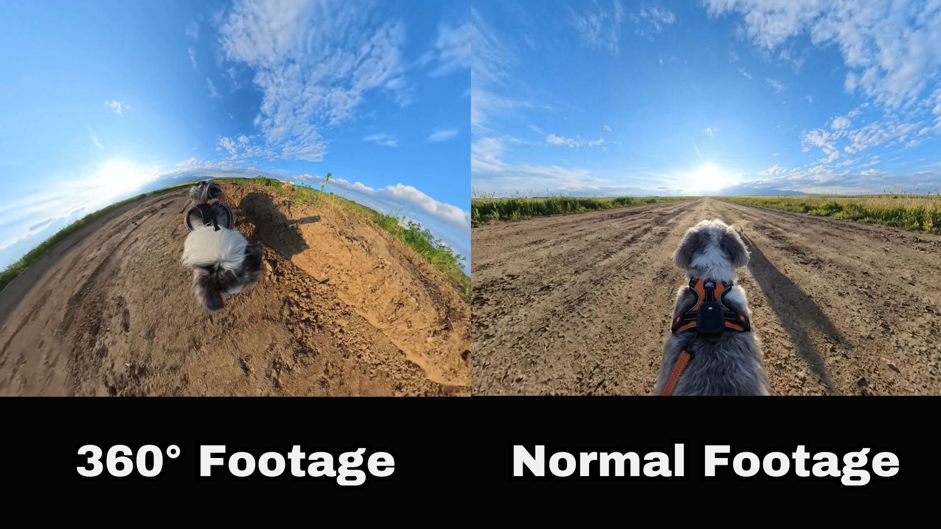 diferencia entre un video convencional y un video 360 grados