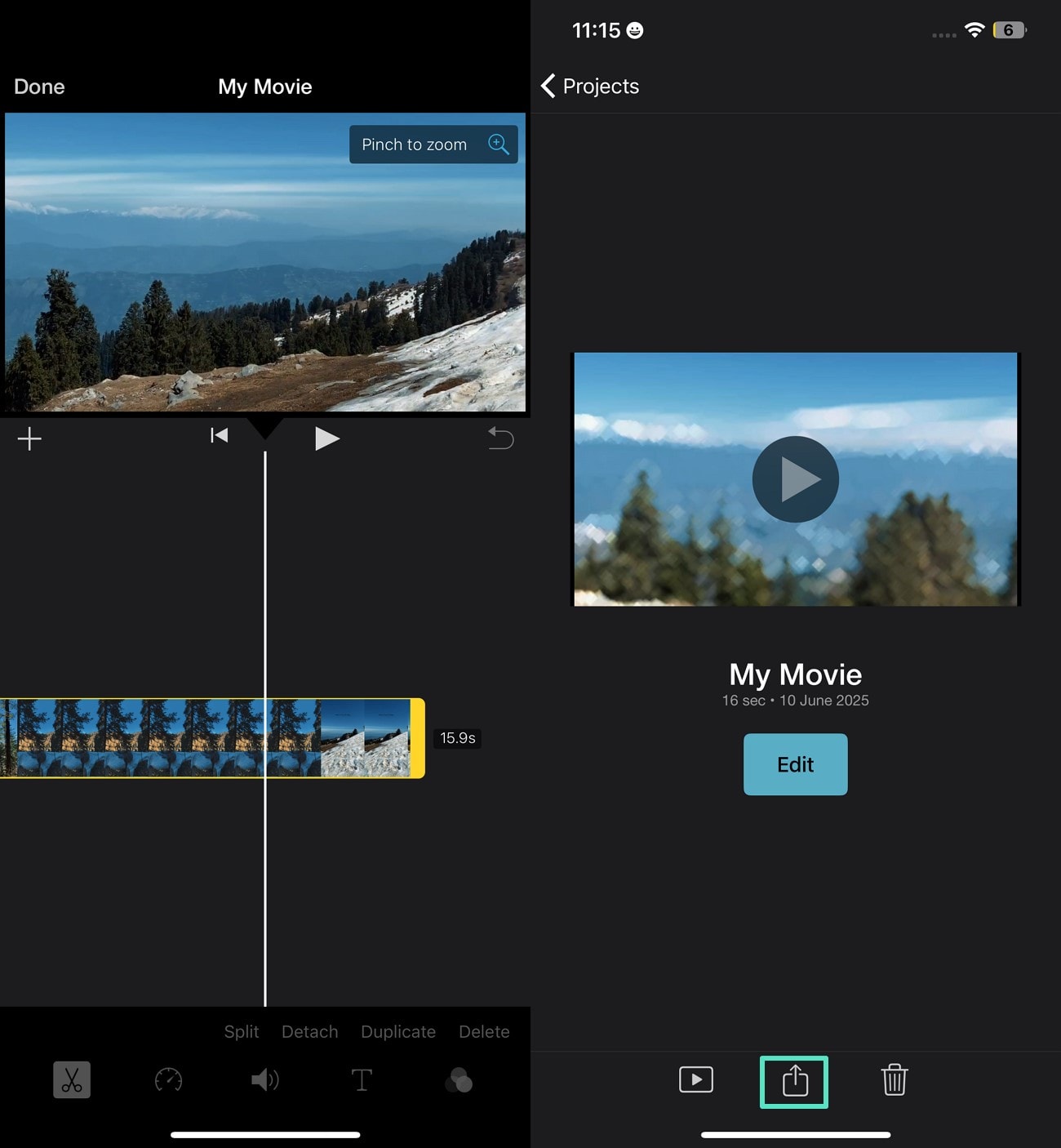 pinch zoom and export video