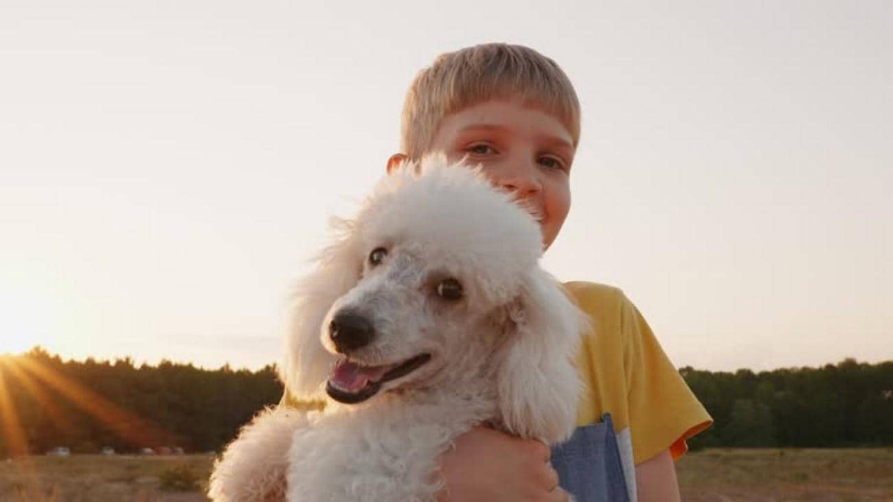 viral funny tiktok dog videos