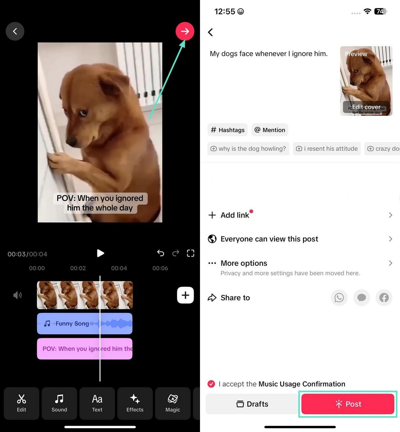 review post funny tiktok dog video