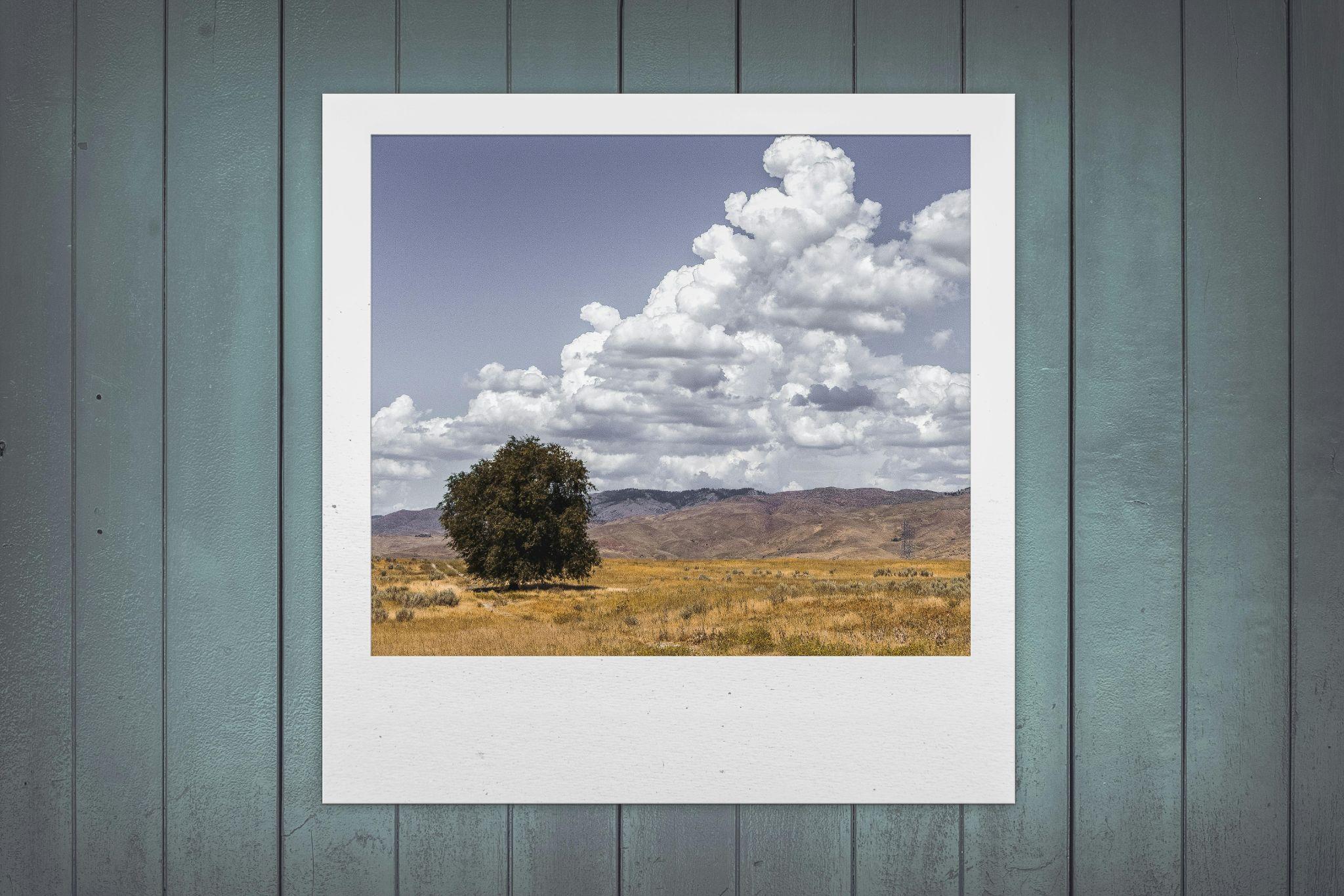 ai polaroid maker example