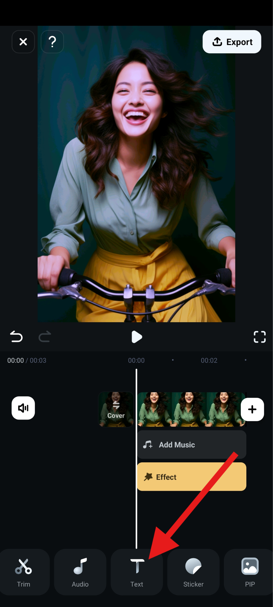 add text to flip photo effect
