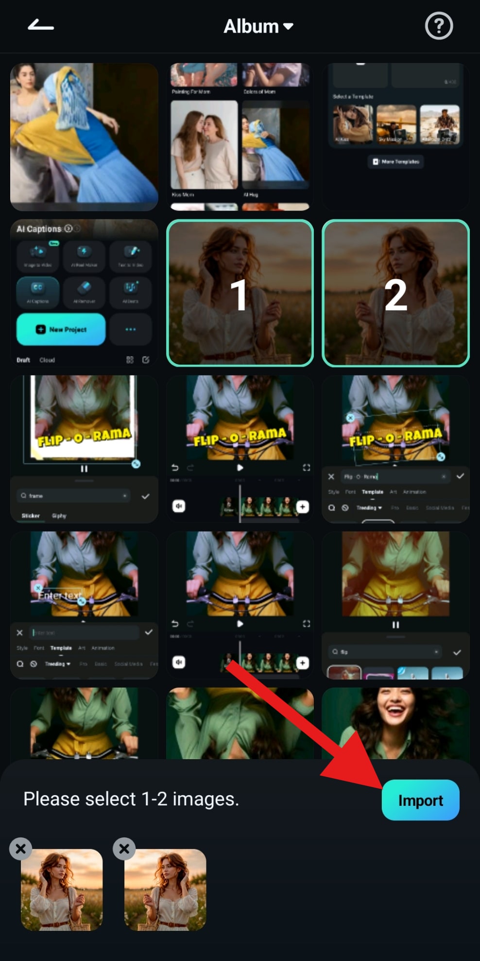 import flipped images image to video