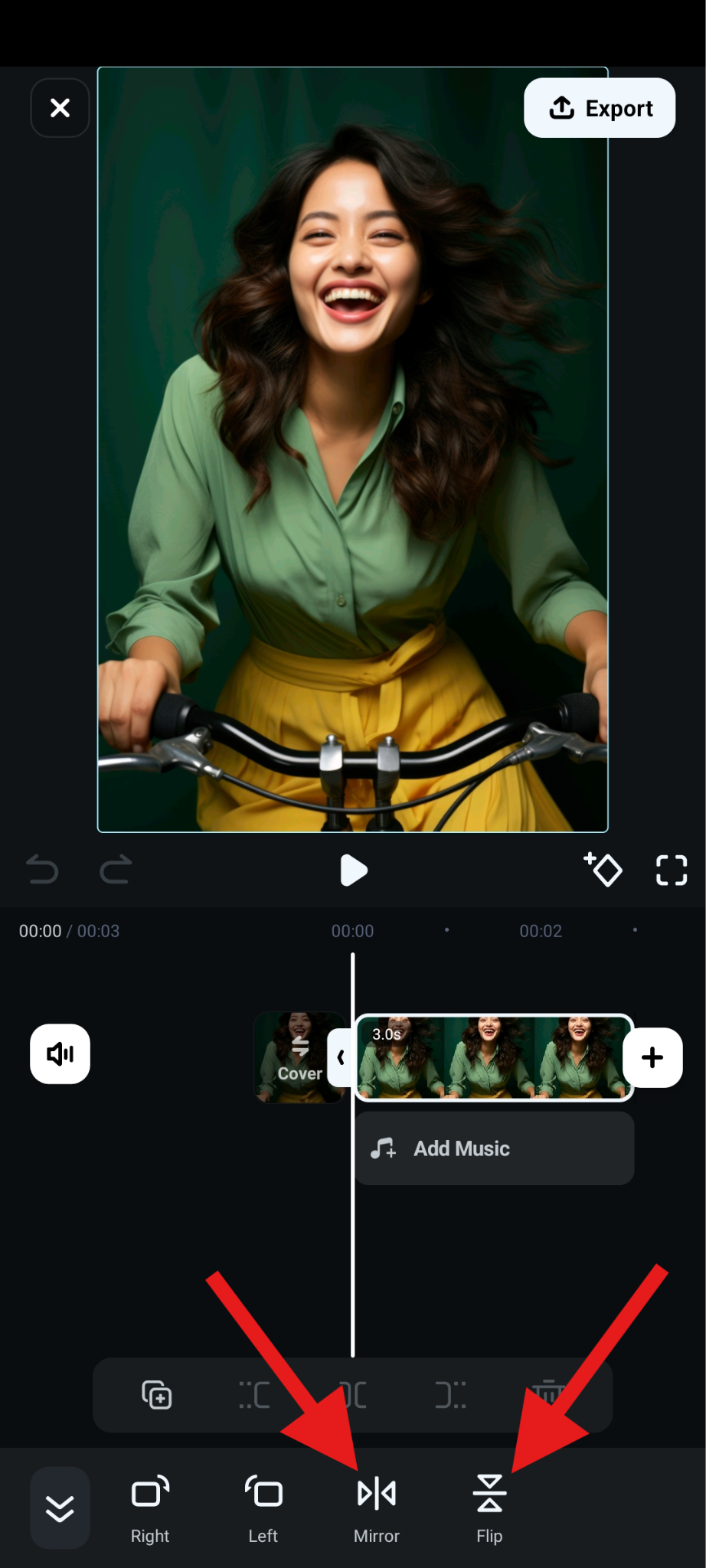 choose to flip or mirror images