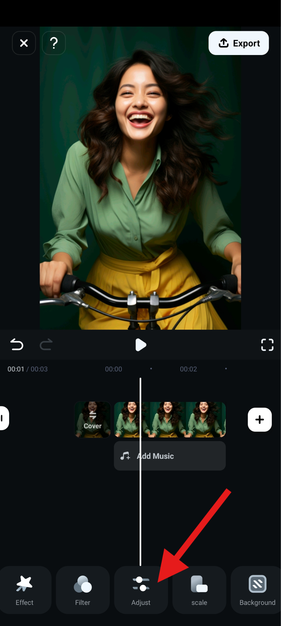find the adjust feature in filmora
