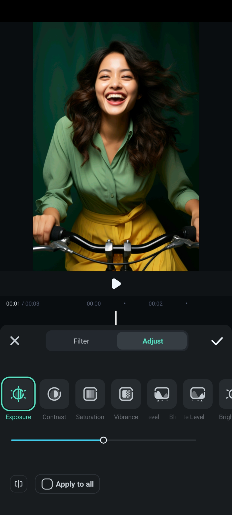 exolore custom image adjustment options filmora