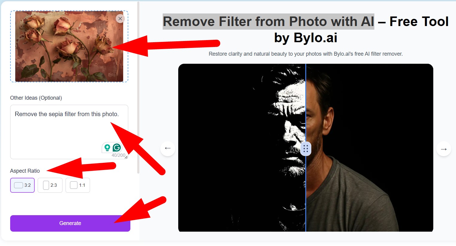 open bylo in browser remove filter