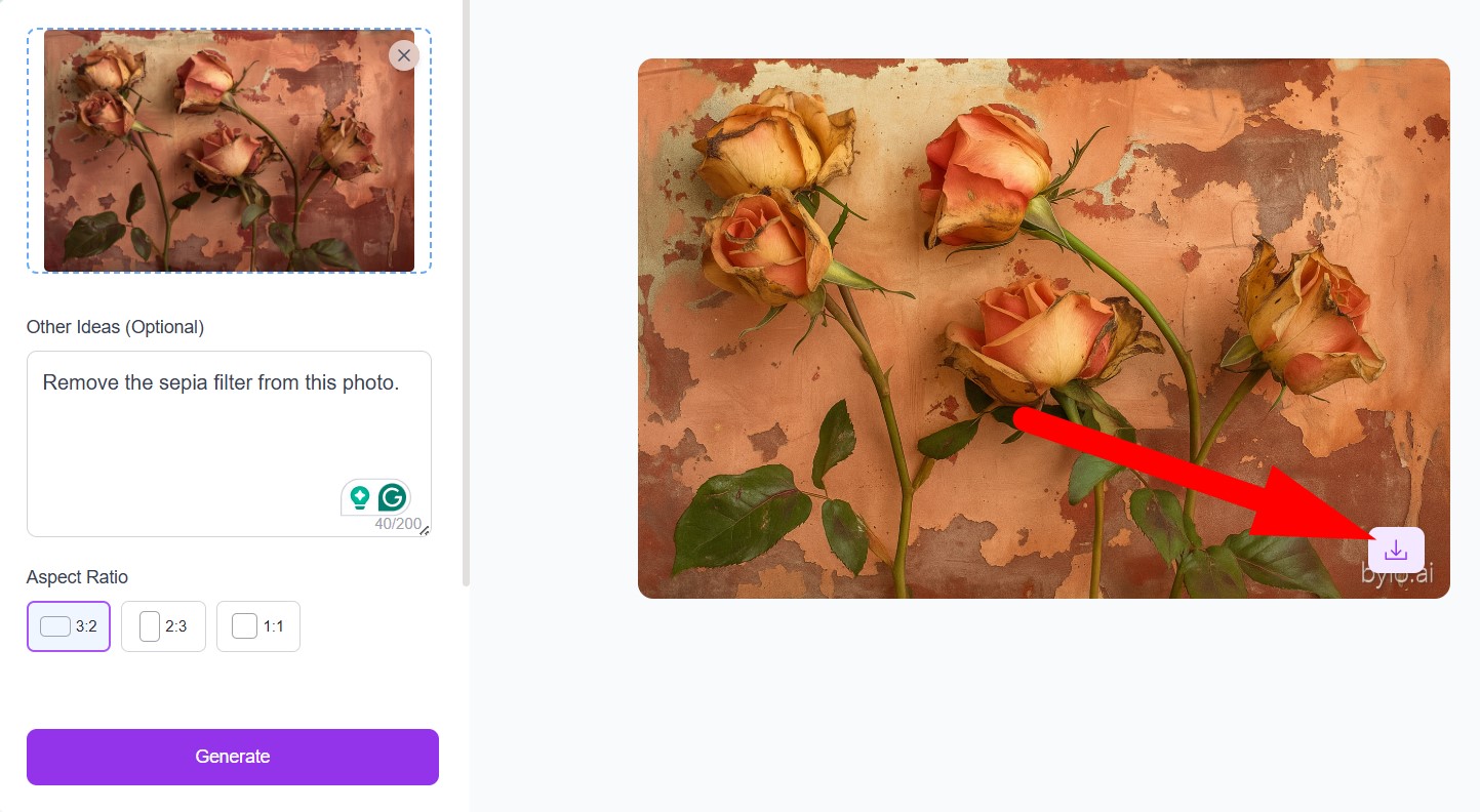 download photo with ai filter removal
