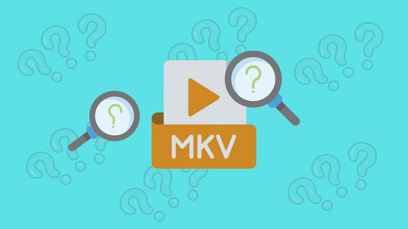 facts about mkv editor