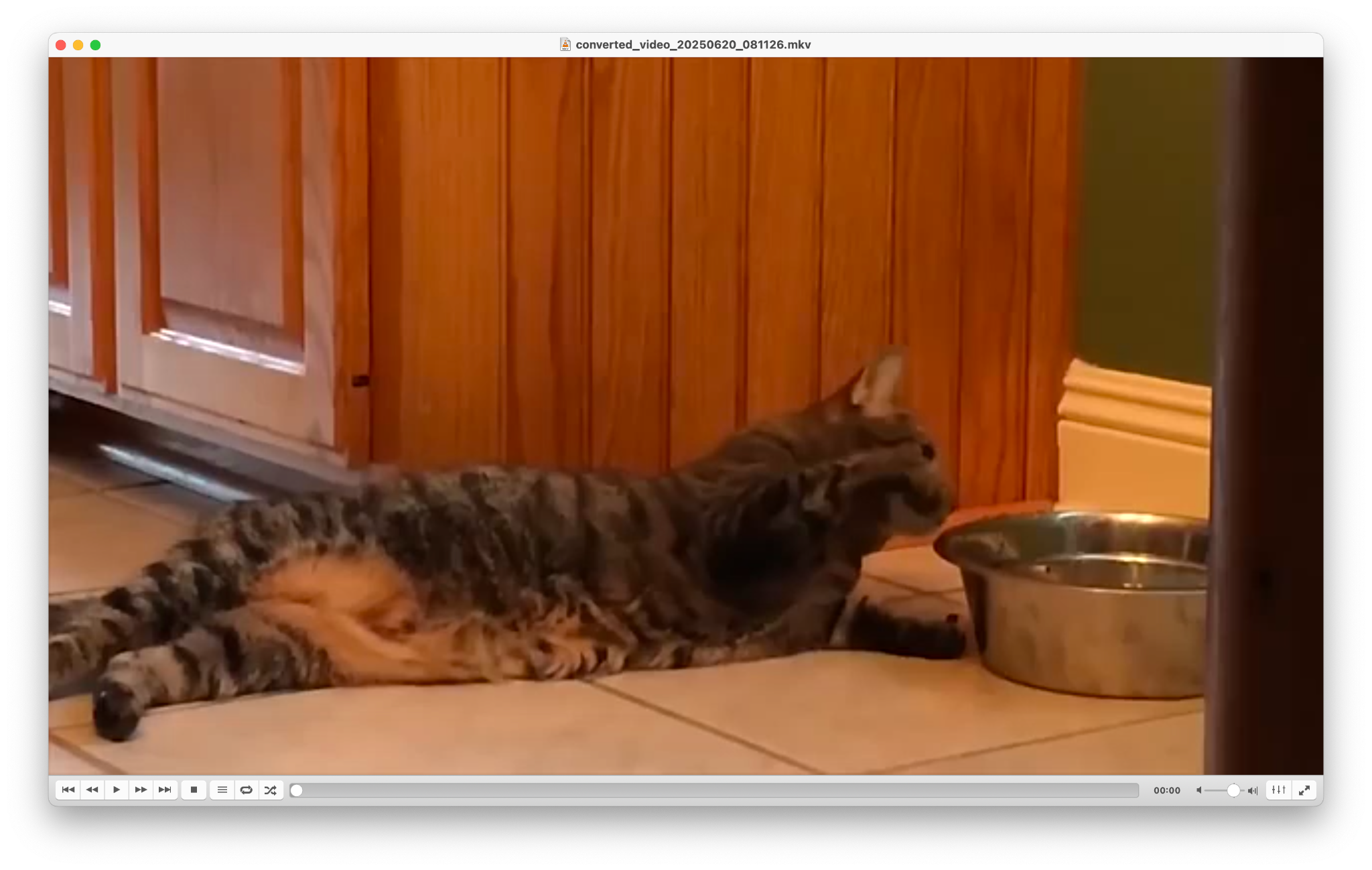 vlc media player