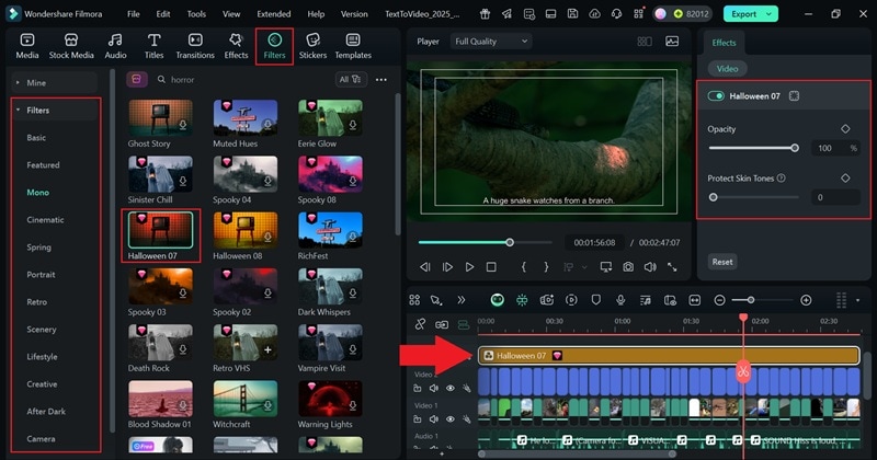 add filters to the video