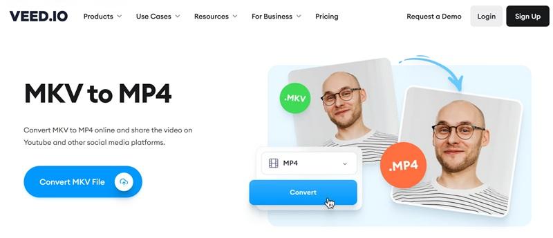 veed mkv to mp4 converter