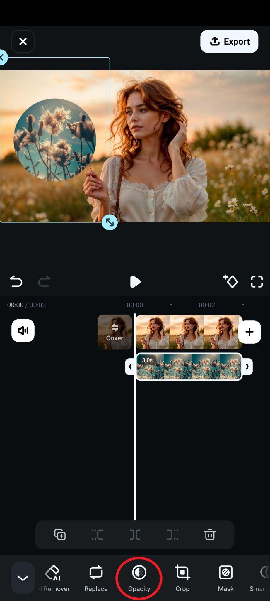 tap on opacity in bottom menu