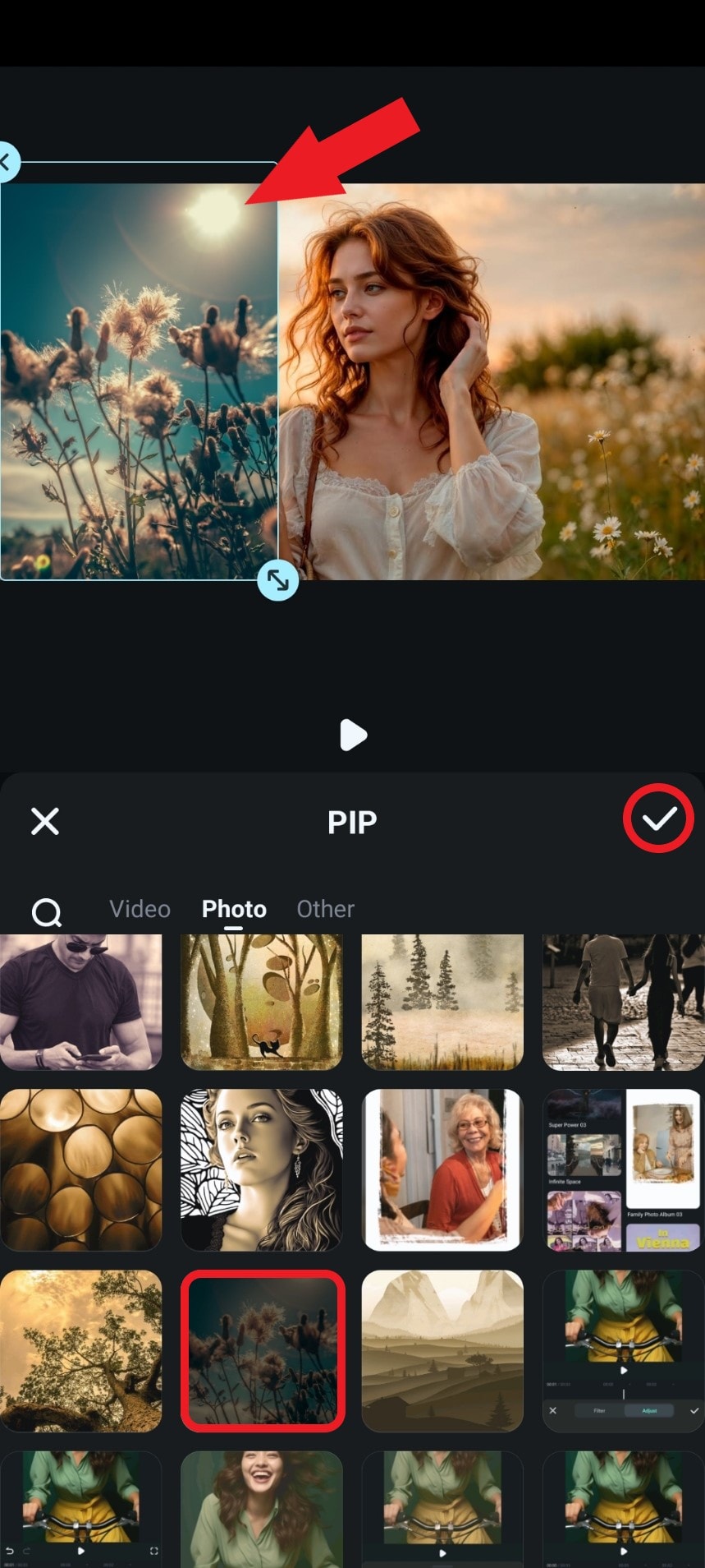 pick new image for pip effect