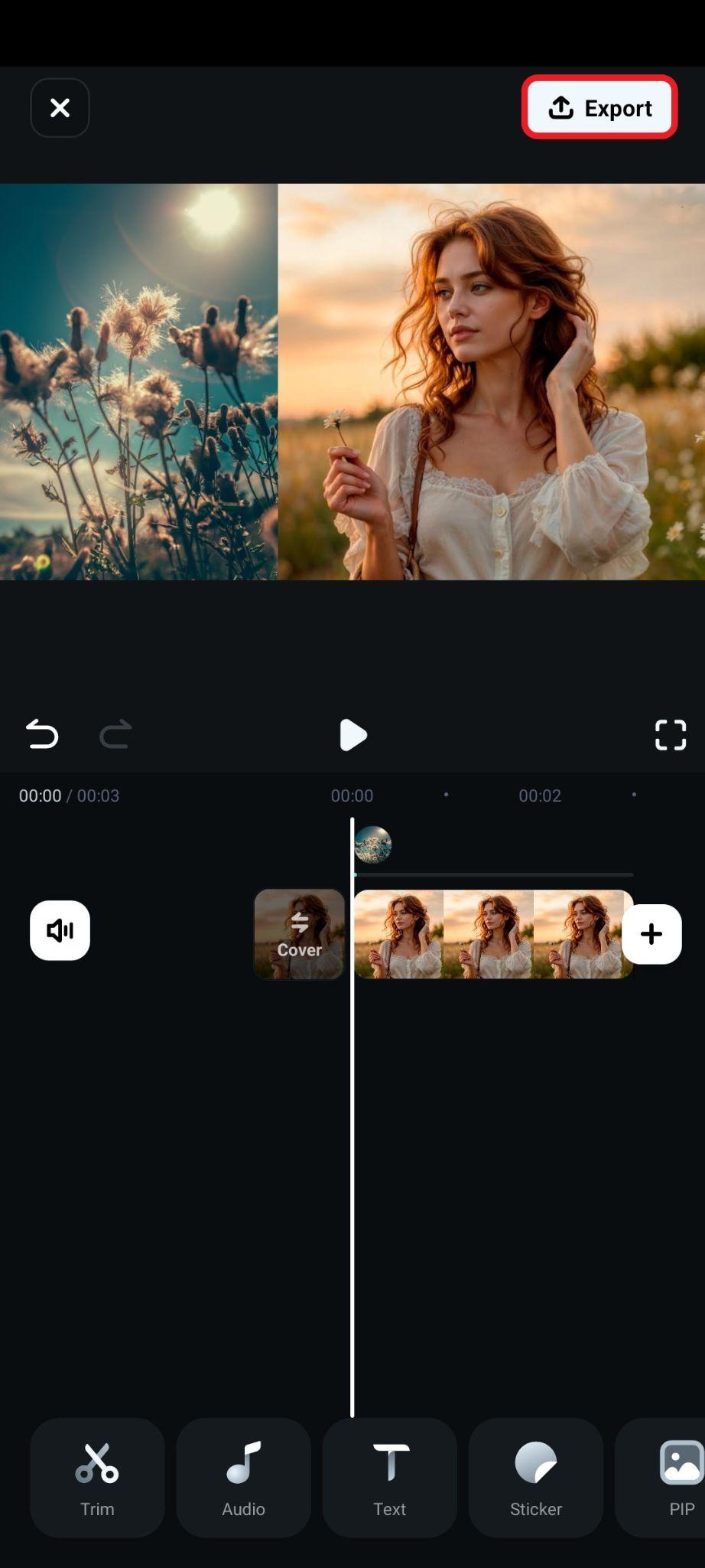 complete two photo collage and export