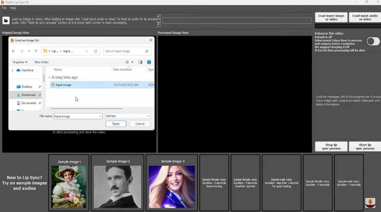 choose pixbim ai lip sync software