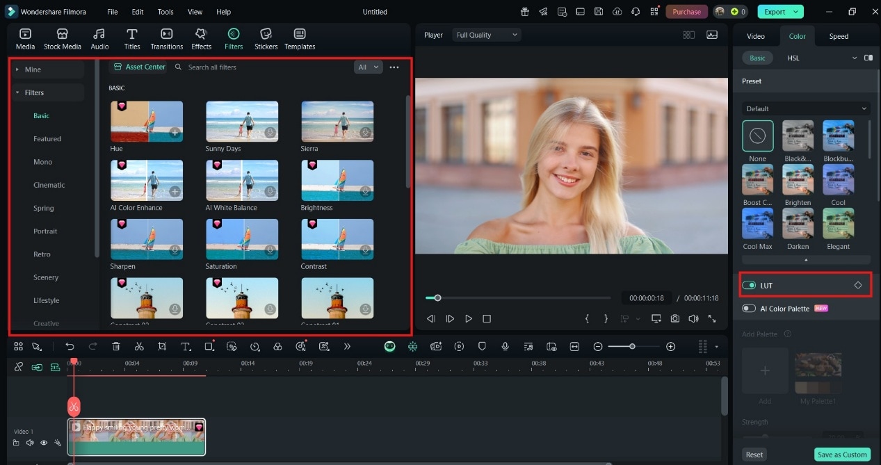 filmora preset filters