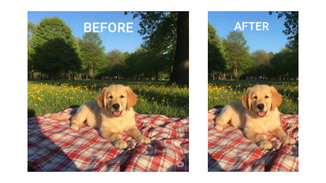 filmora ai image to video result