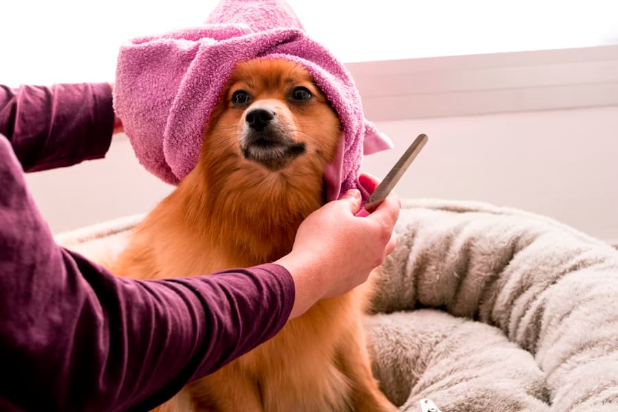 dog grooming video mat relaxed