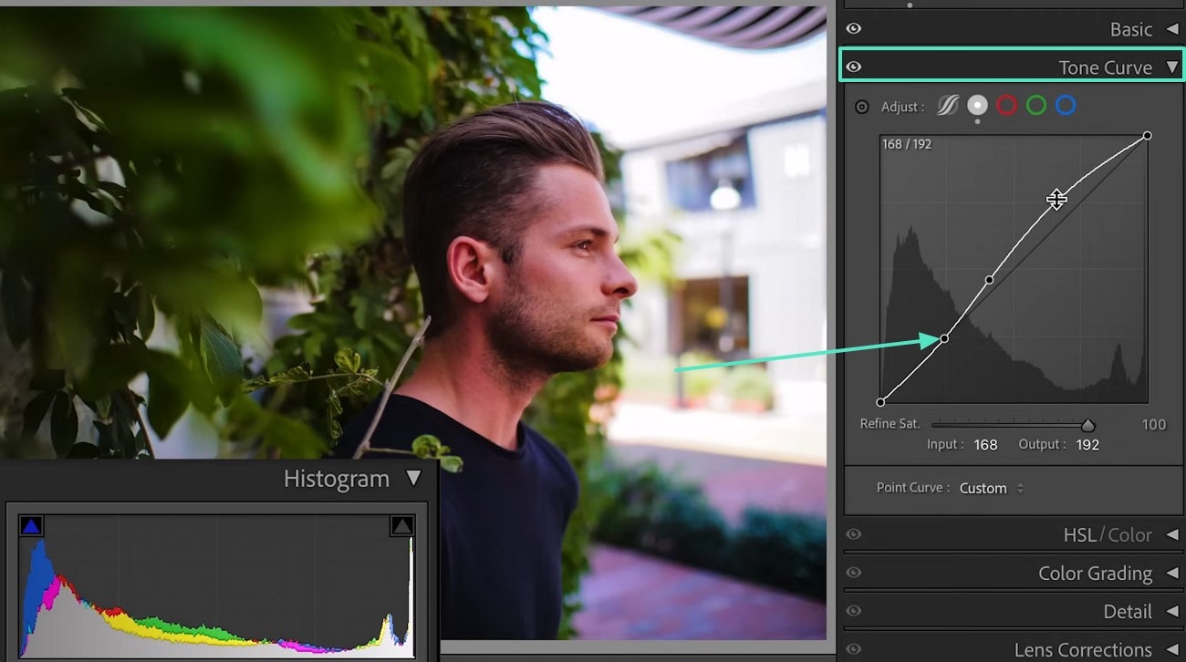 locate tone curve for adjustments