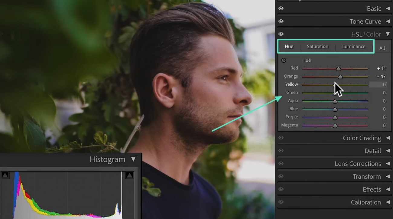 adjust hue saturation and luminance sliders