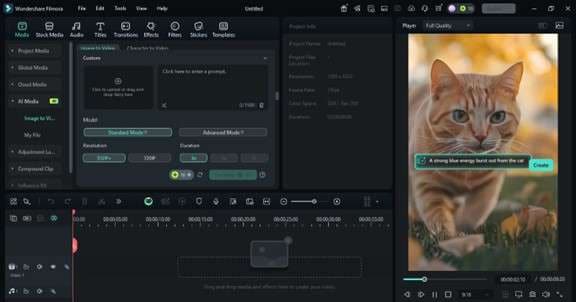 custom image to video