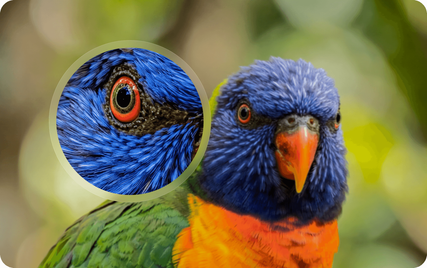 Improve Overall Image Clarity Instantly