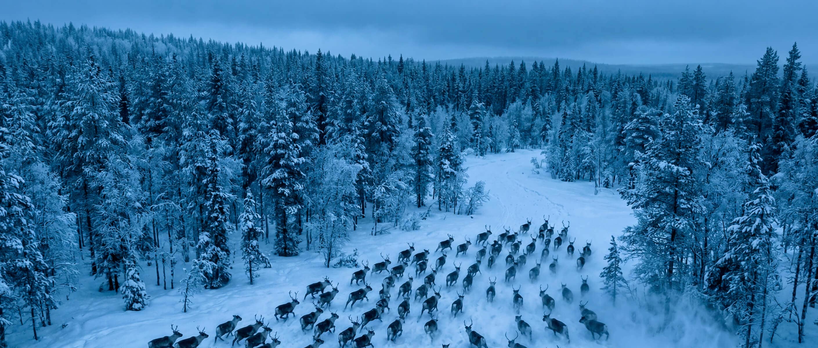 Sharpen Image Details