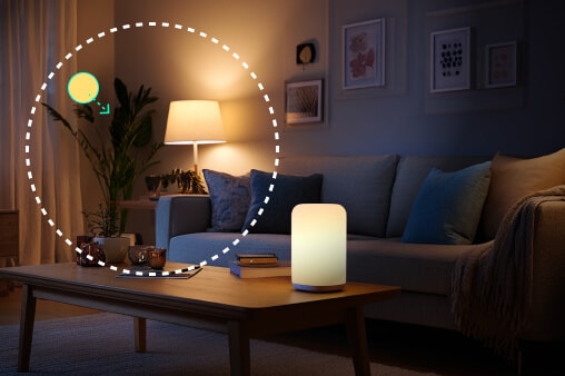 Vloggers & Content Creators