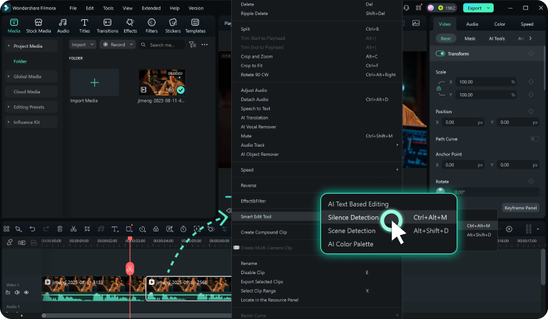 import media with silent parts