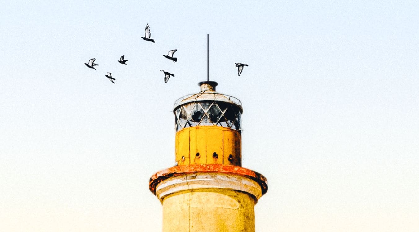 black gold style filter