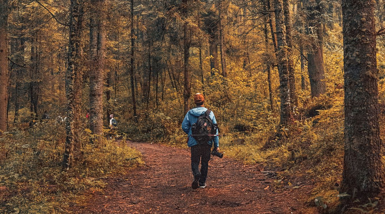 cinematic autumn filter