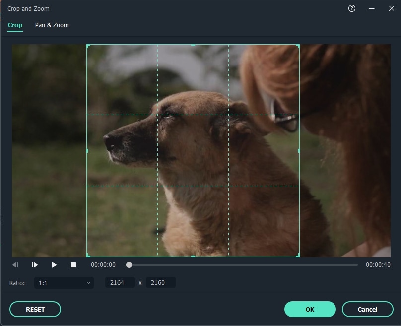 Effortlessly Create GIFs with These 11 Top Free Tools