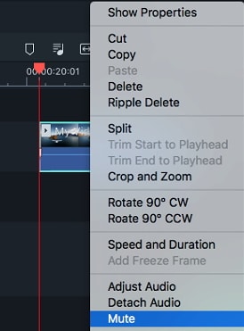   Filmora for Mac Audio Editing