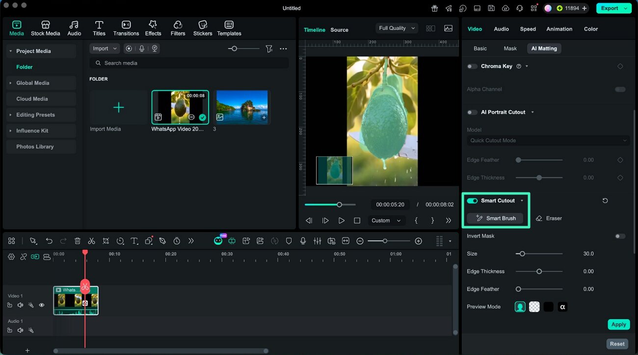 smart brush select video subject mac