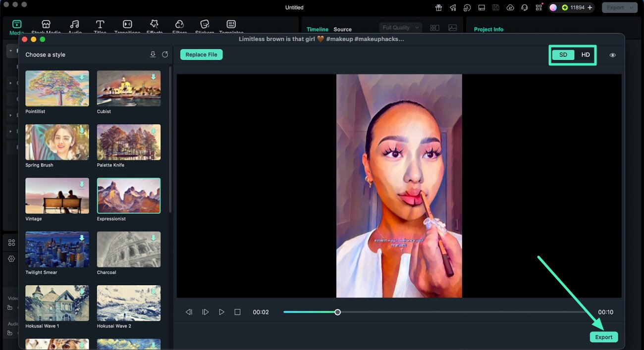 preview ai stylized video result